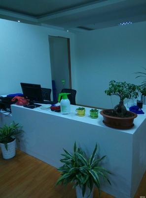 鎮(zhèn)江福運(yùn)投資咨詢 專業(yè)導(dǎo)航，助力財(cái)富穩(wěn)健增值